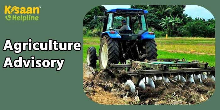 कृषि वैज्ञानिकों जारी की साप्ताहिक मौसम पर आधारित कृषि सम्बंधी सलाह 